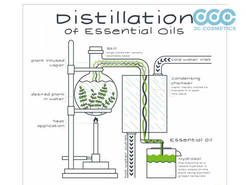 phương pháp chưng cách tinh dầu