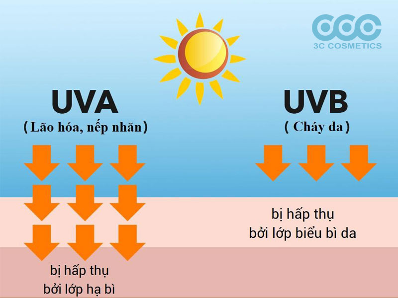 Bảo vệ da khỏi tia UVA và UVB